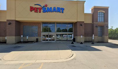 PetSmart Dog Training