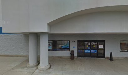 PetSmart Dog Training