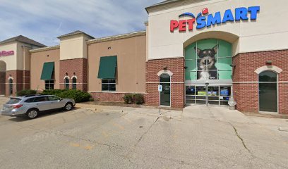 PetSmart Dog Training