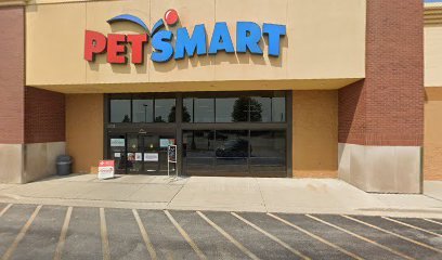PetSmart Dog Training