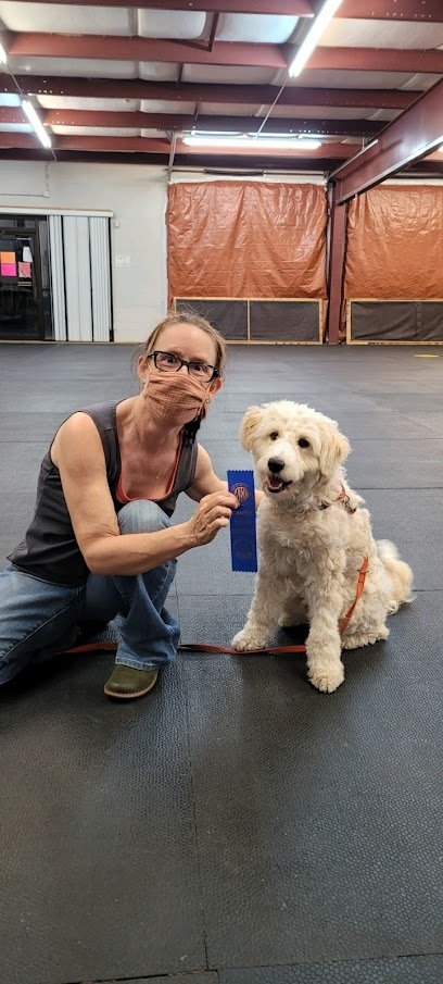Rockin E Dog Training and Consulting