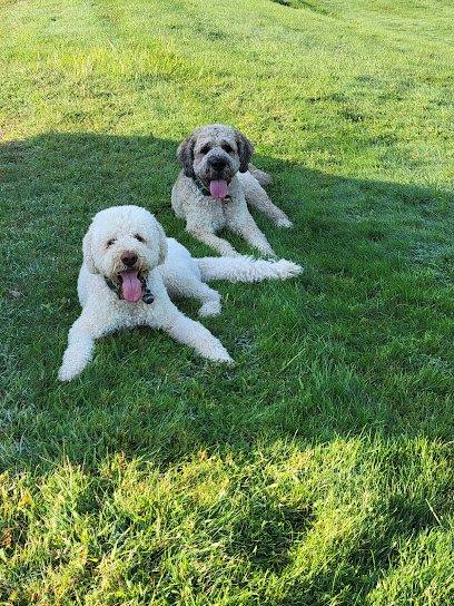 Oli&Seb_theDoodleDuo